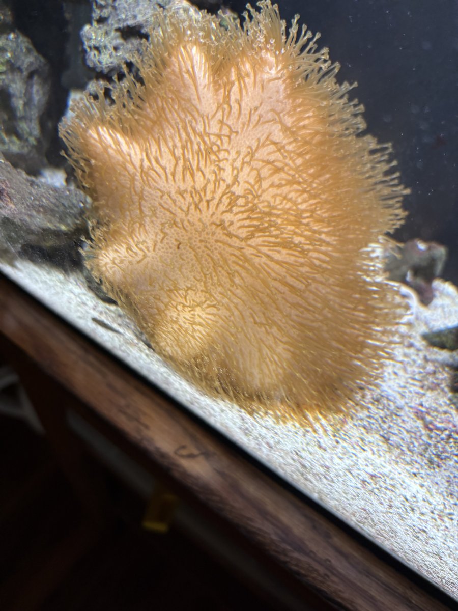IMG_6568.jpeg