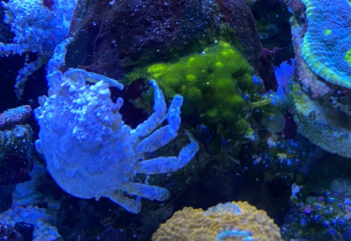 IMG_6576.jpeg