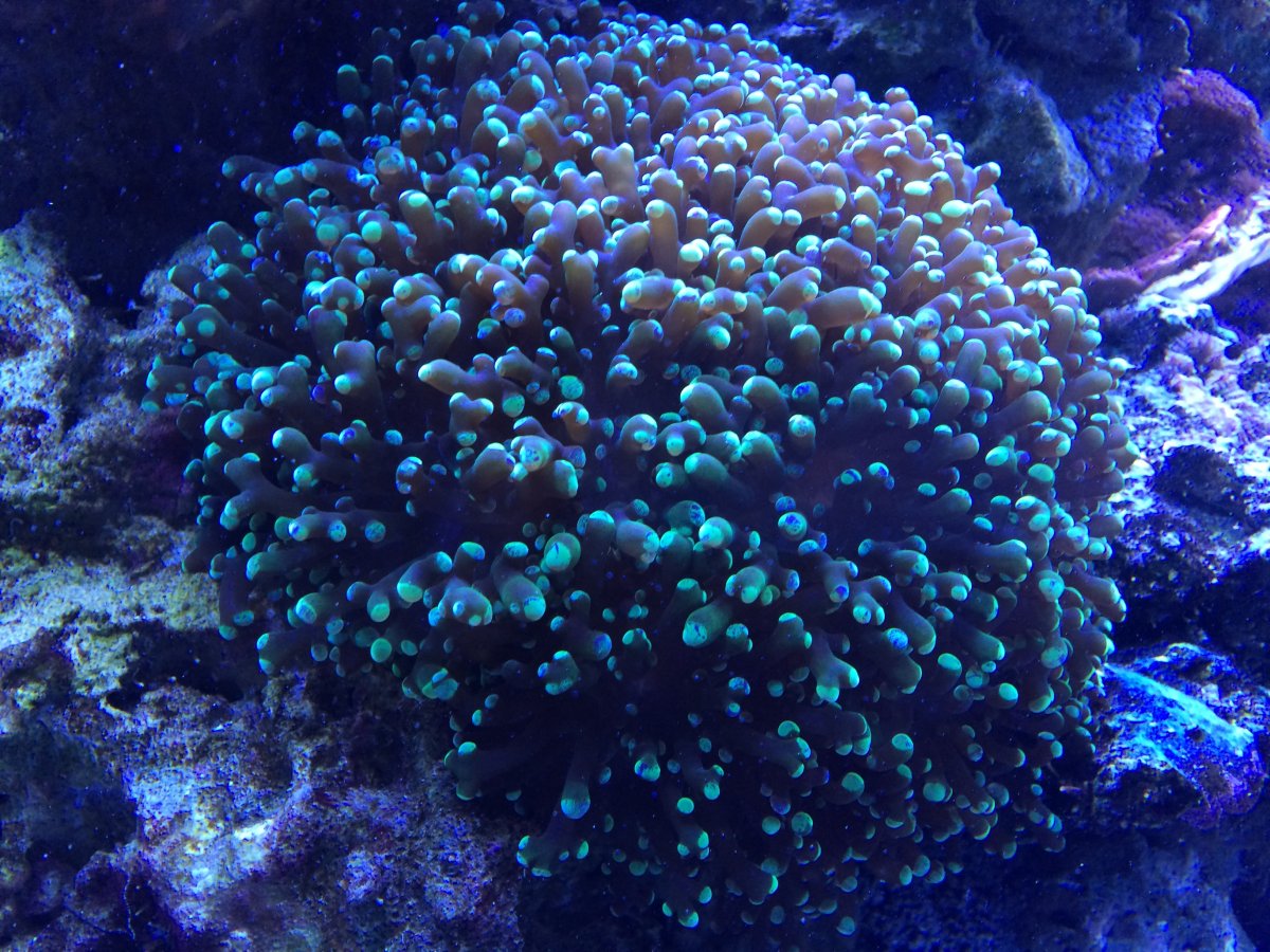 IMG_6576.JPG