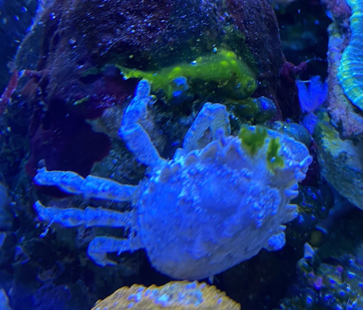 IMG_6580.jpeg