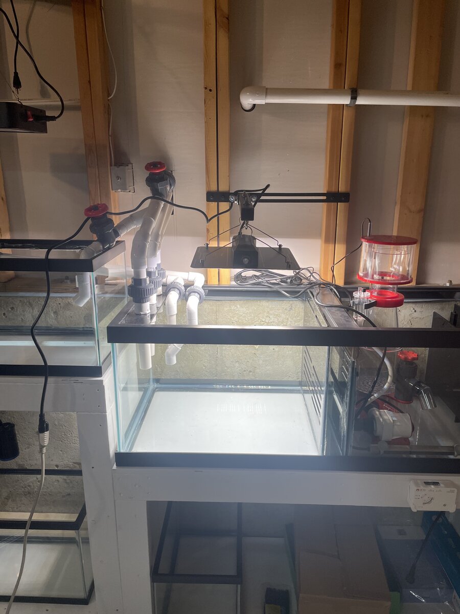 External combined ATS/refugium/frag tank/grow out | Reef2Reef