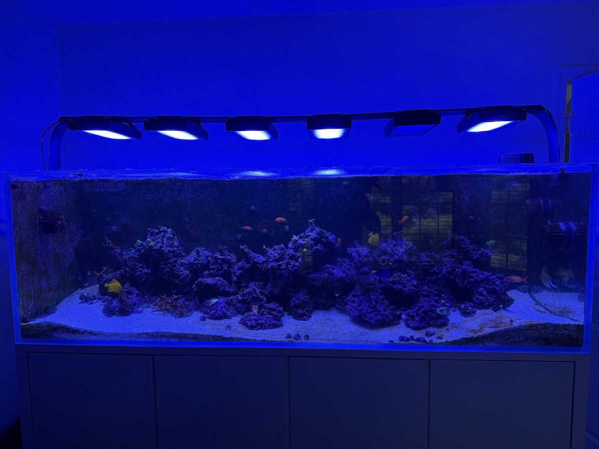 IMG_6596.jpeg