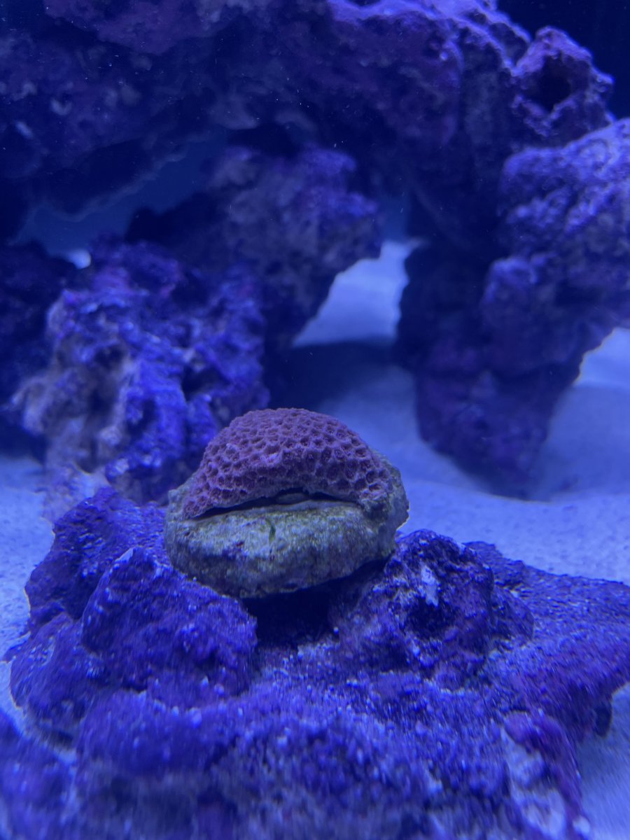 Boot reef deals
