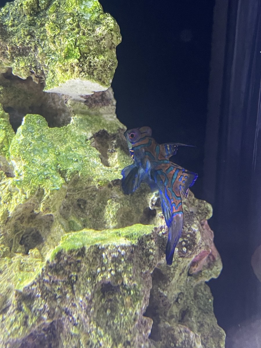 IMG_6610.jpeg
