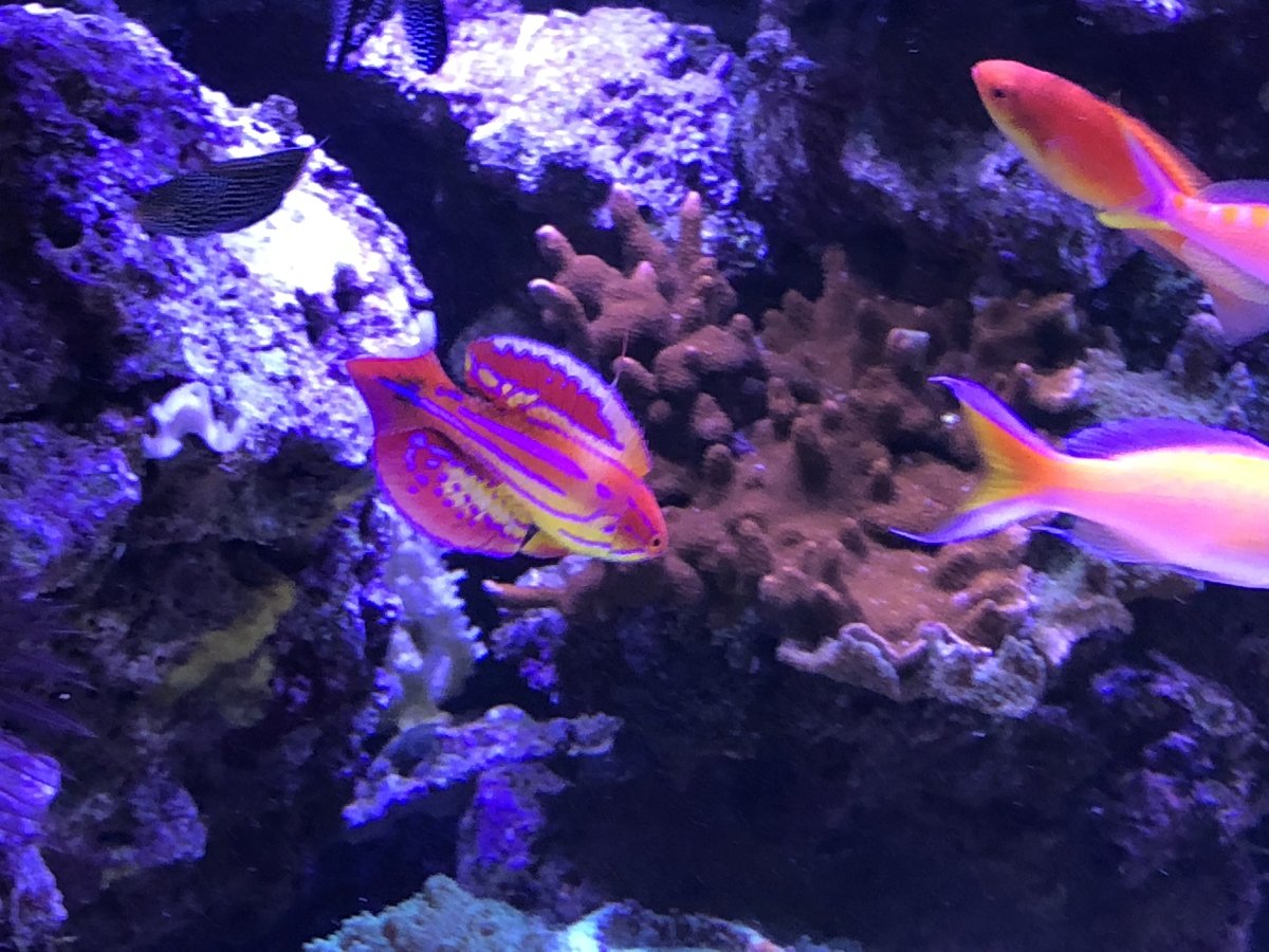 IMG_6610.jpeg