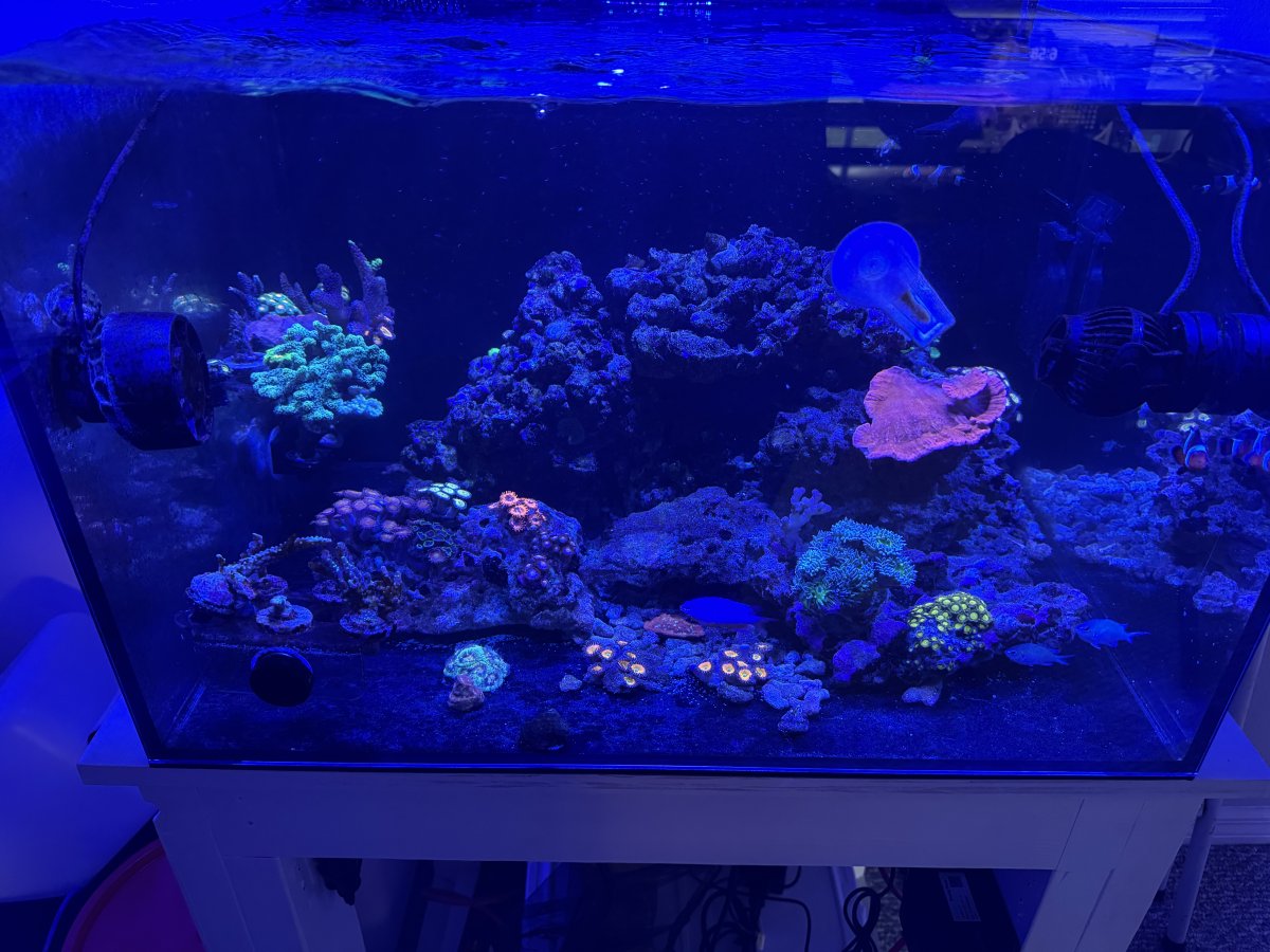 IMG_6620.jpeg