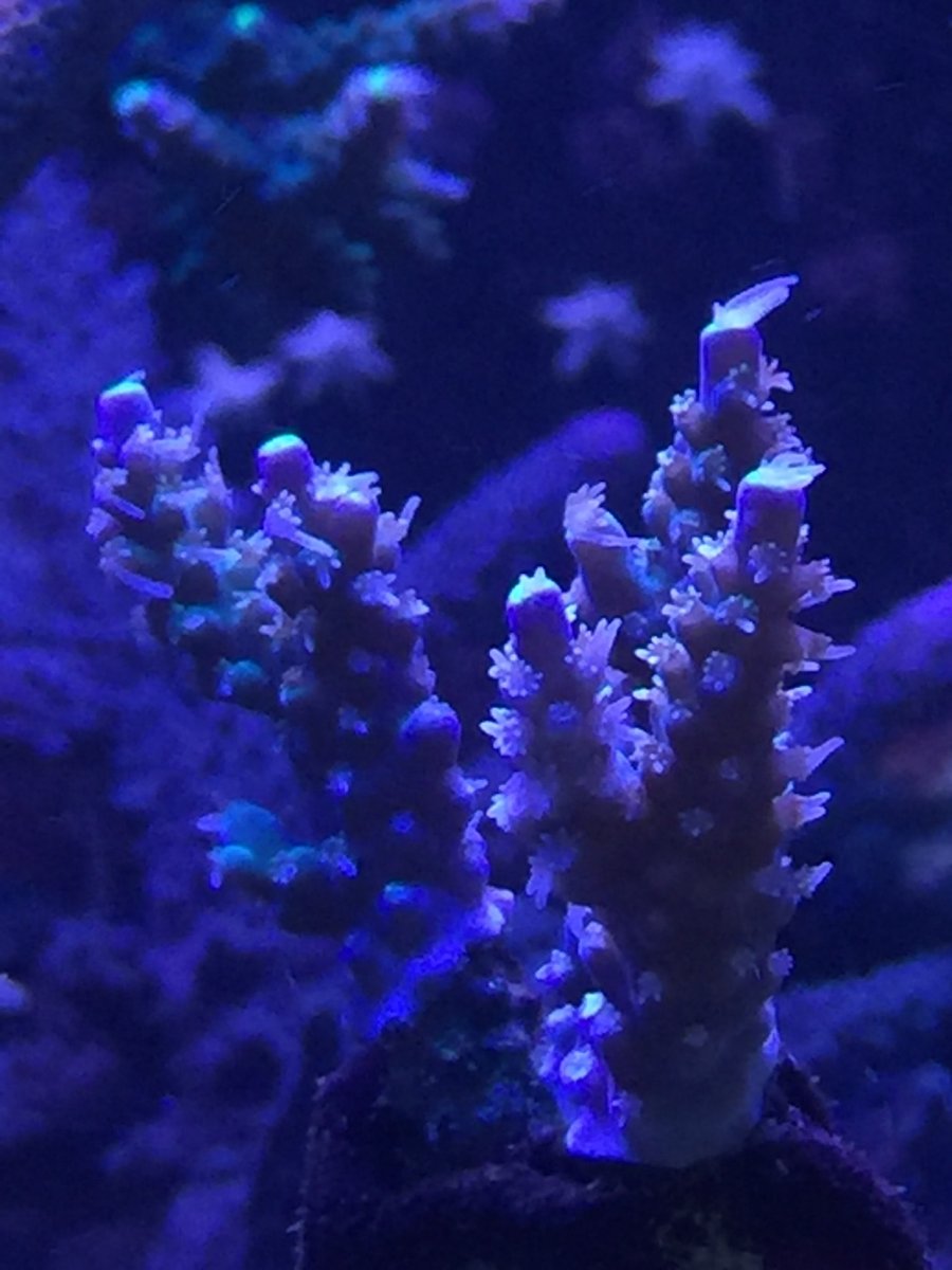 IMG_6623.JPG