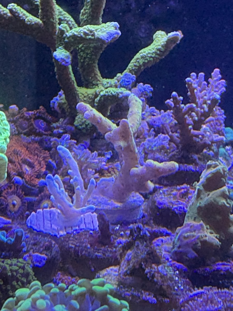 IMG_6631.jpeg