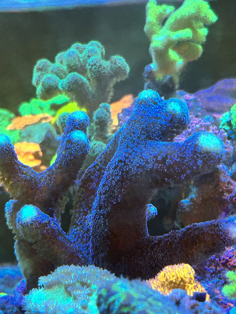 IMG_6644.jpeg