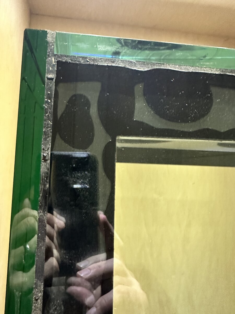 IMG_6652.jpeg