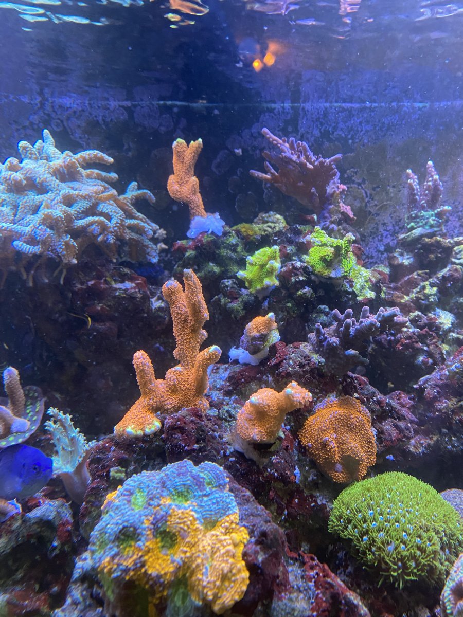 IMG_6668.jpeg