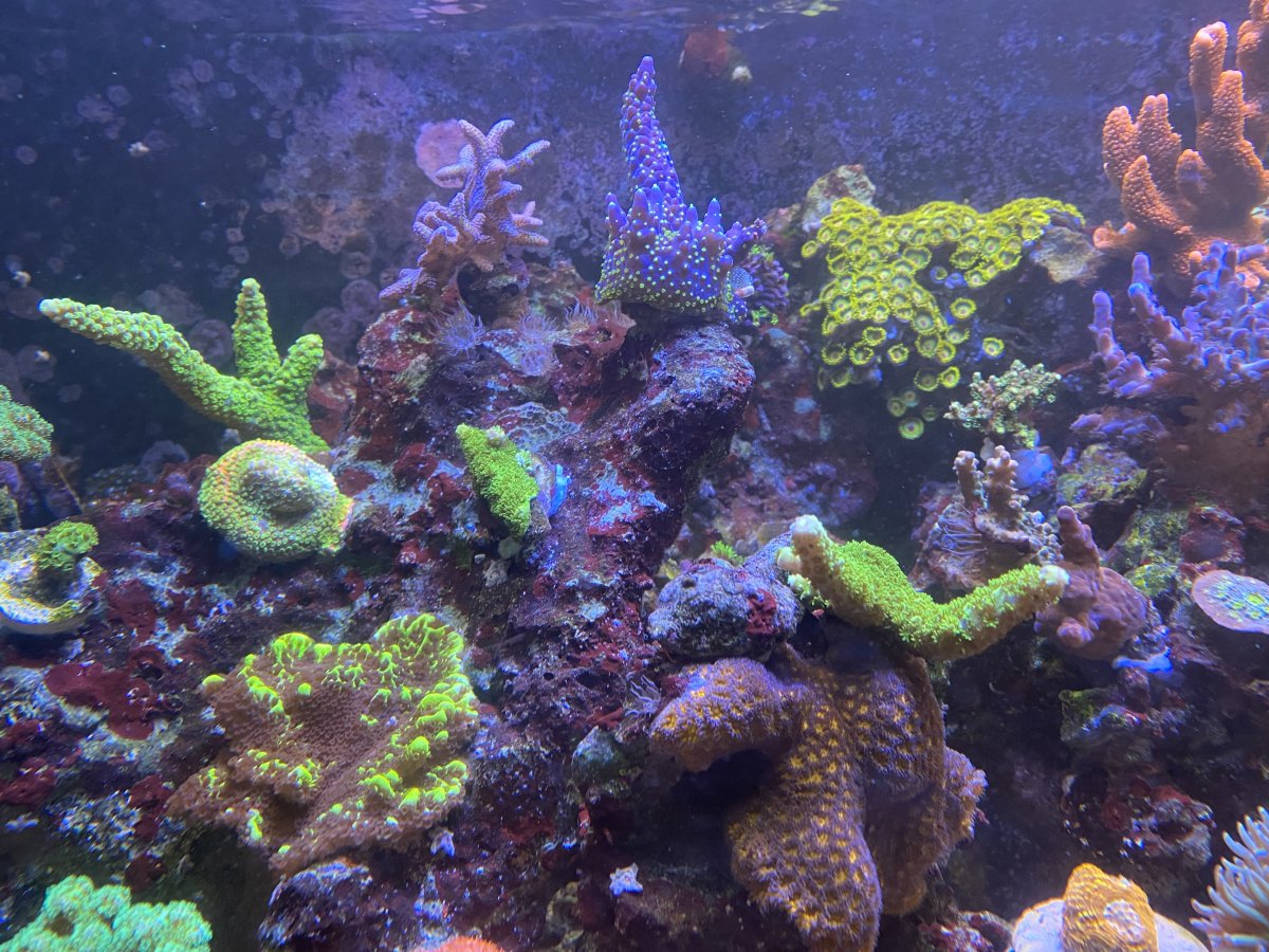 IMG_6669.jpeg