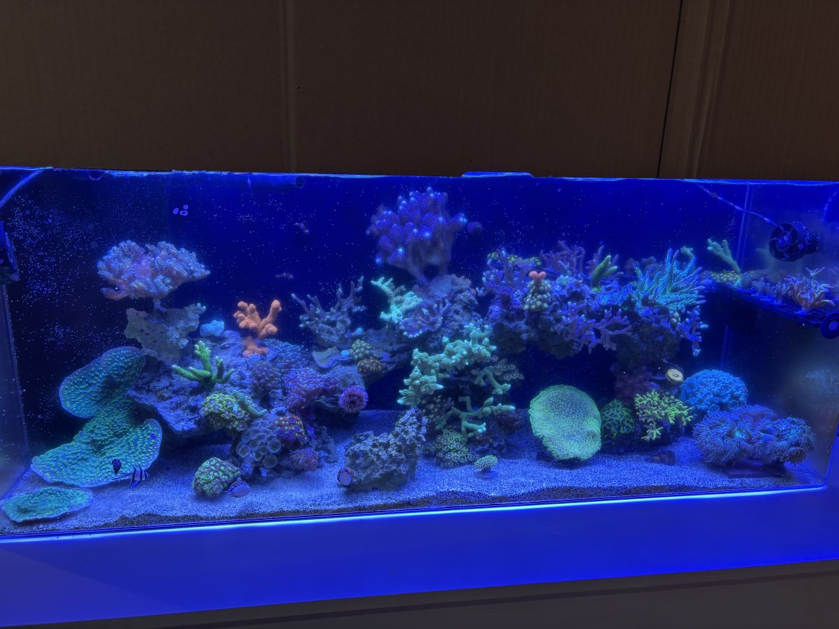 IMG_6683.jpeg