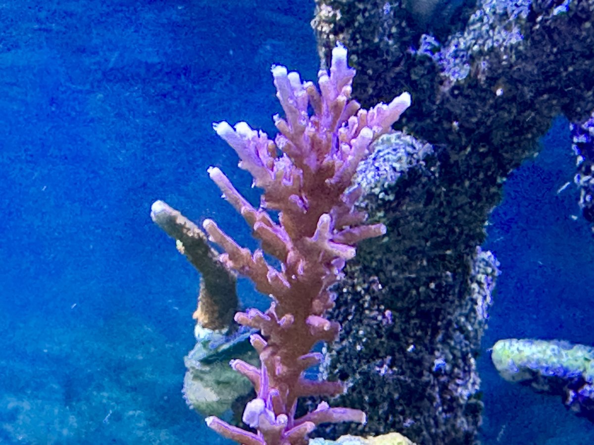 IMG_6693.jpeg