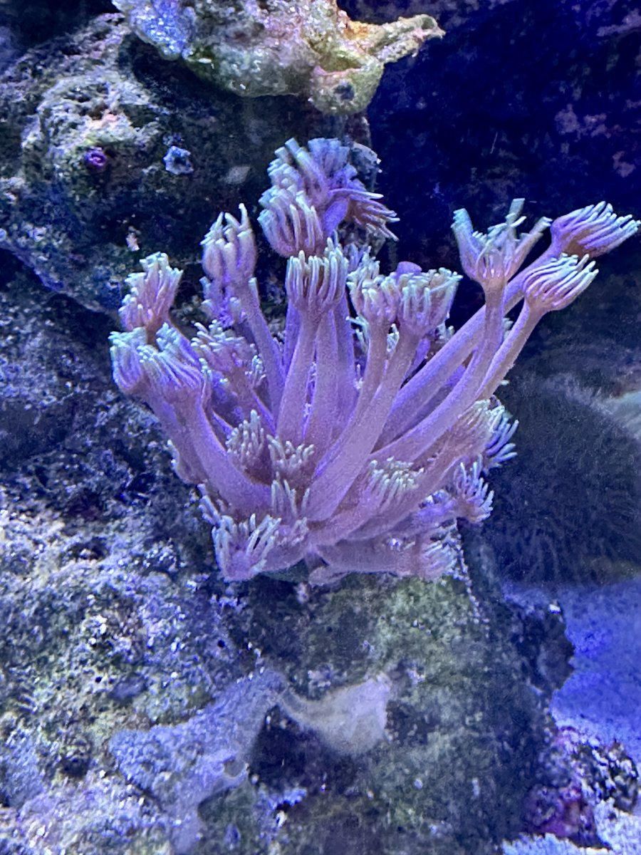 IMG_6706.jpeg