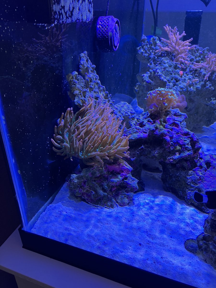 IMG_6708.jpeg