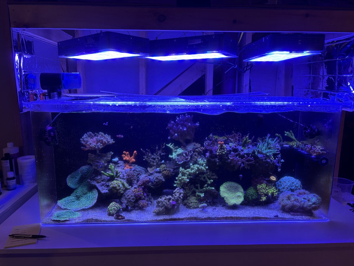 Will it help to add a single T5 bulb to supplement LEDs/reduce shading ...