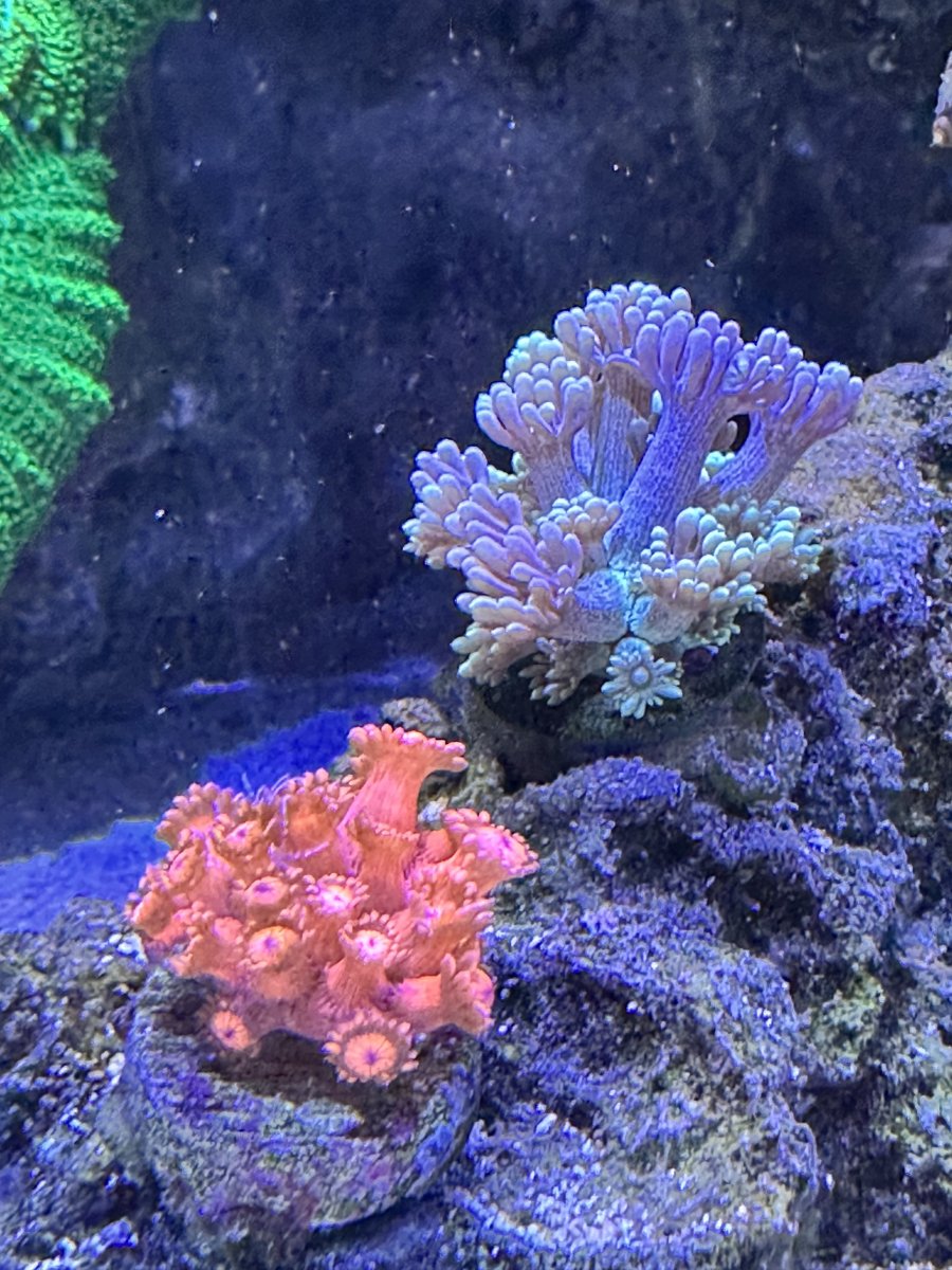 IMG_6709.jpeg