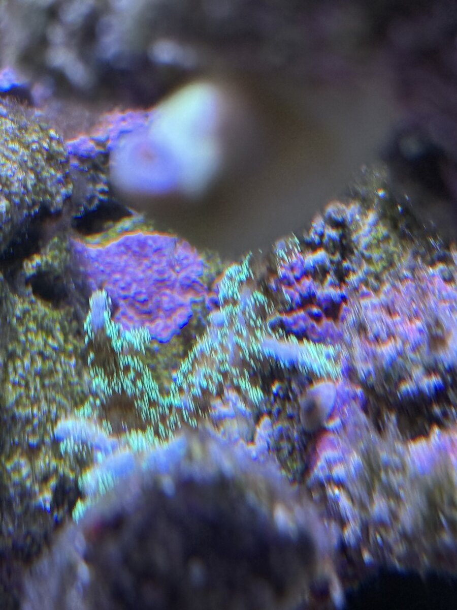IMG_6723.jpeg