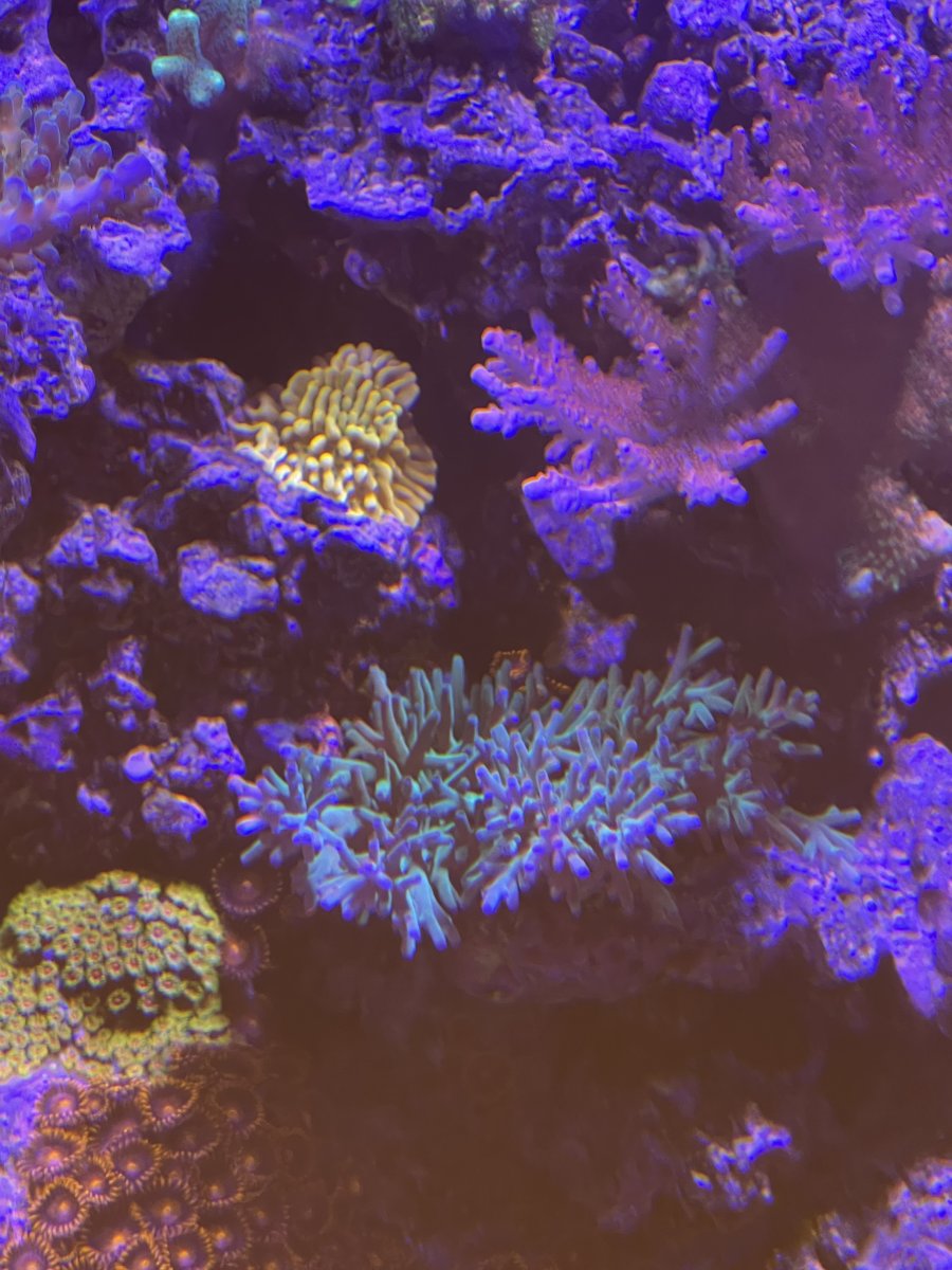IMG_6726.jpeg
