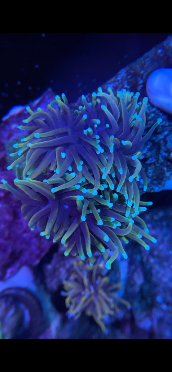 IMG_6727.png