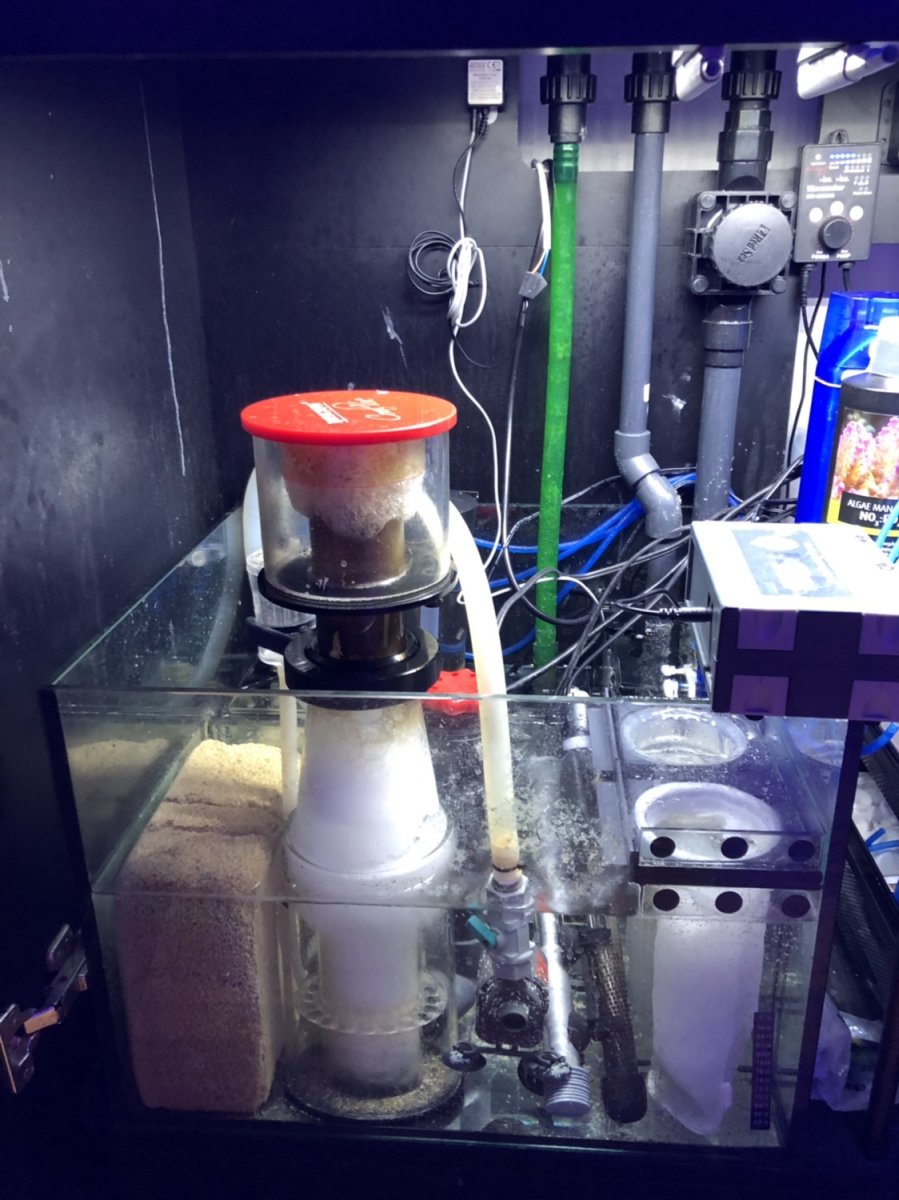 Build Thread - King of Reefing: A Reefers Story | Reef2Reef
