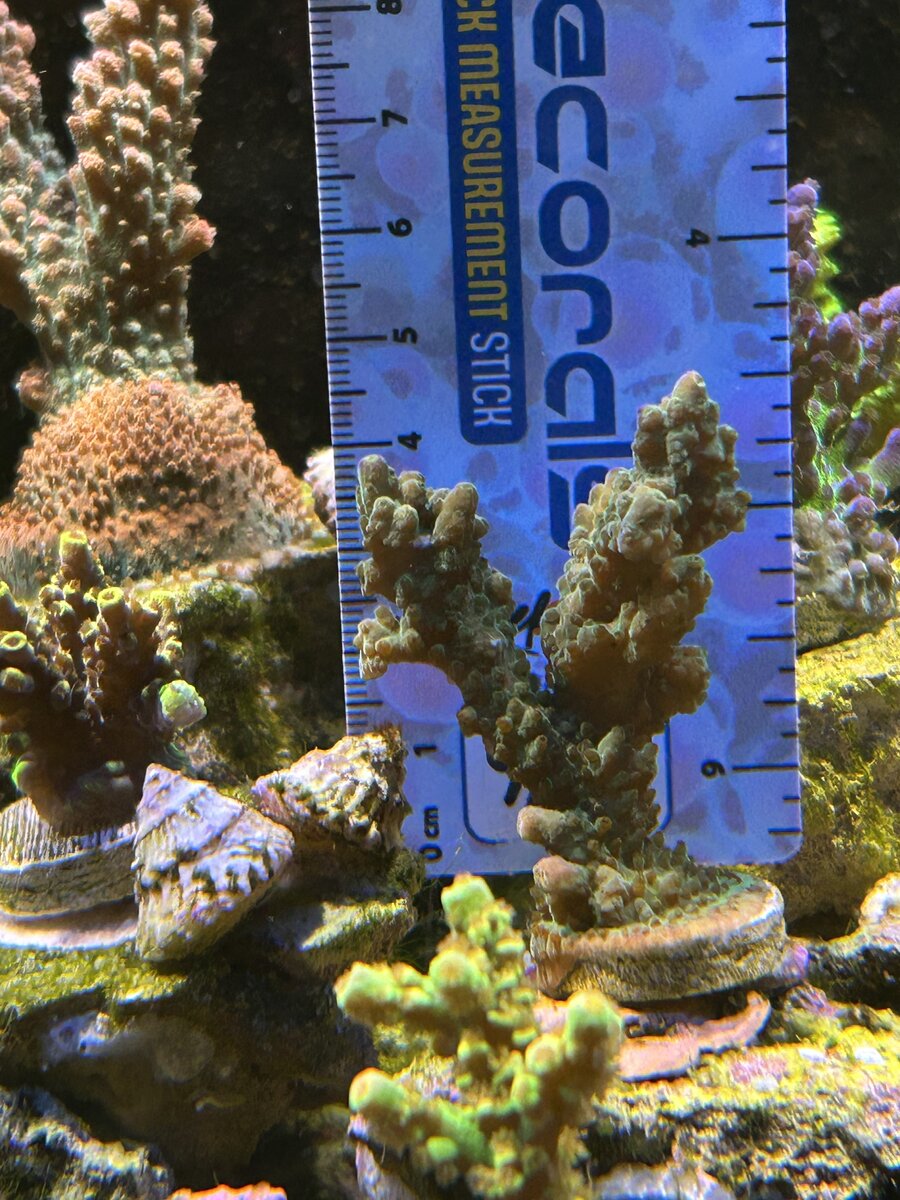 IMG_6743.jpeg