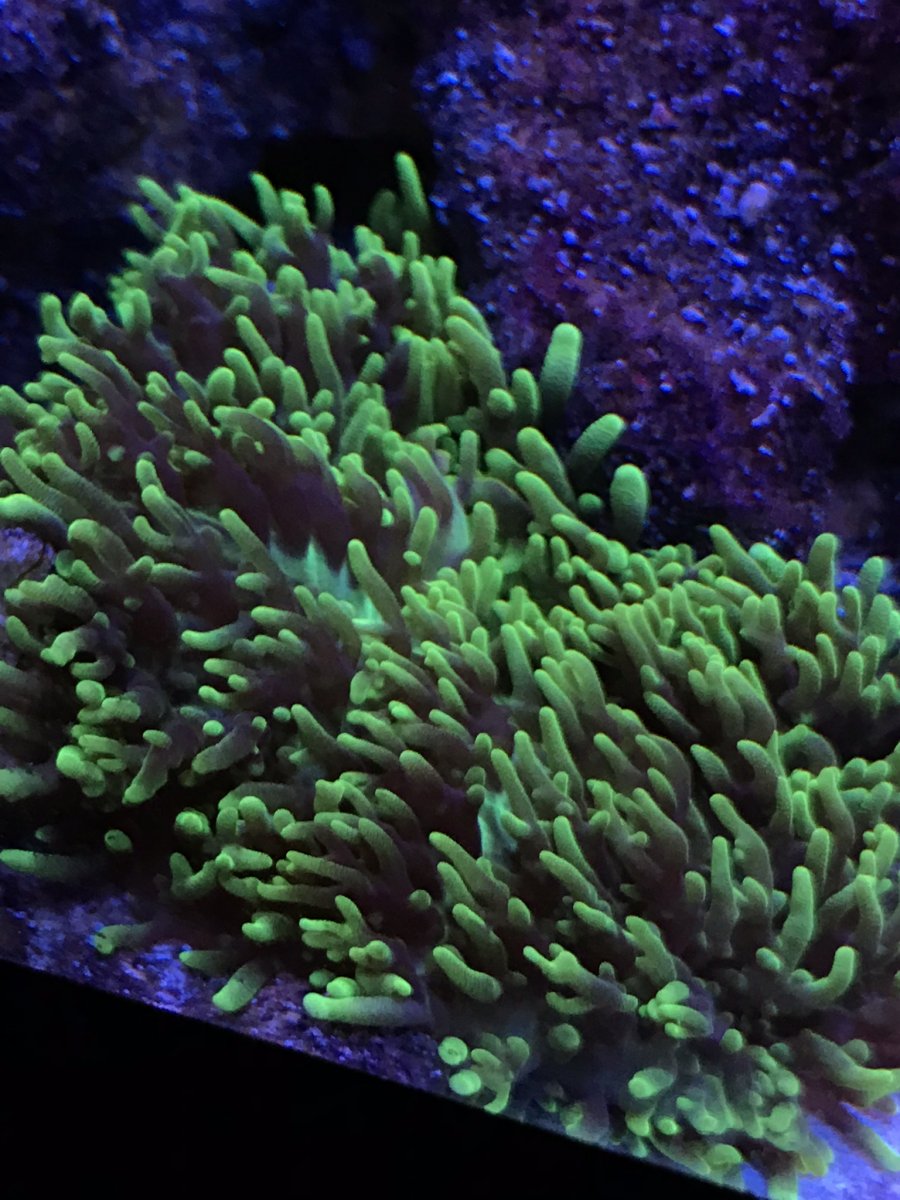 IMG_6745.JPEG