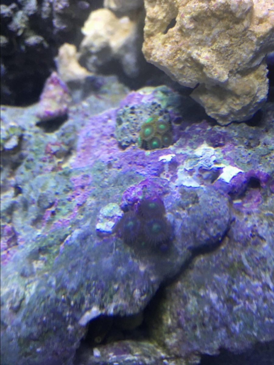 IMG_6746.JPG