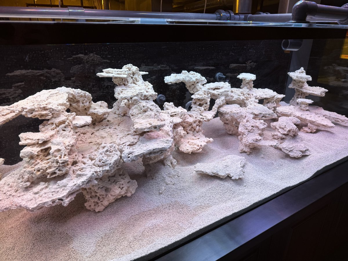 Monster Build - Fragdaddyreef’s huge 800g Reef Build | Page 3 | Reef2Reef