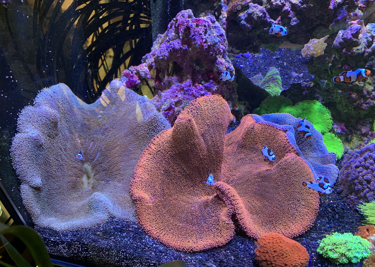 IMG_6762.JPG