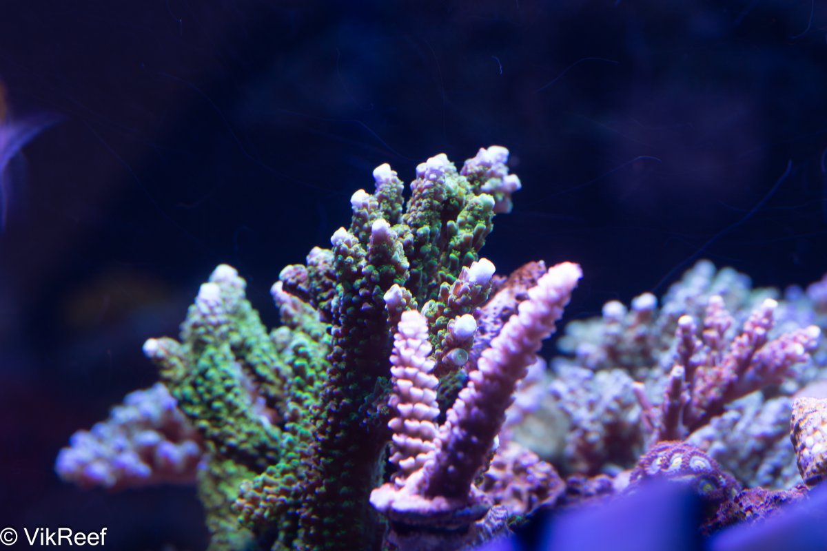 IMG_6765.jpg