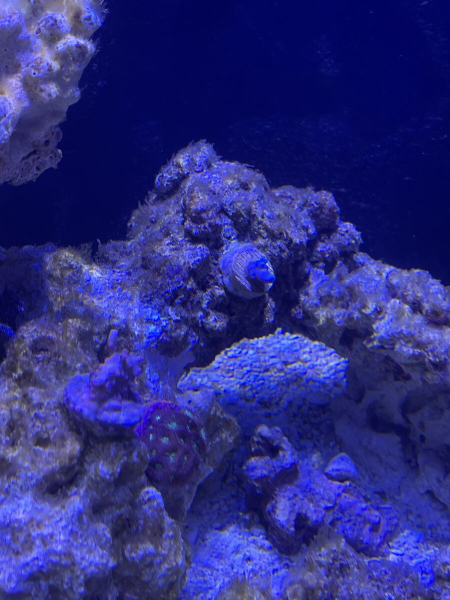 IMG_6771.jpeg