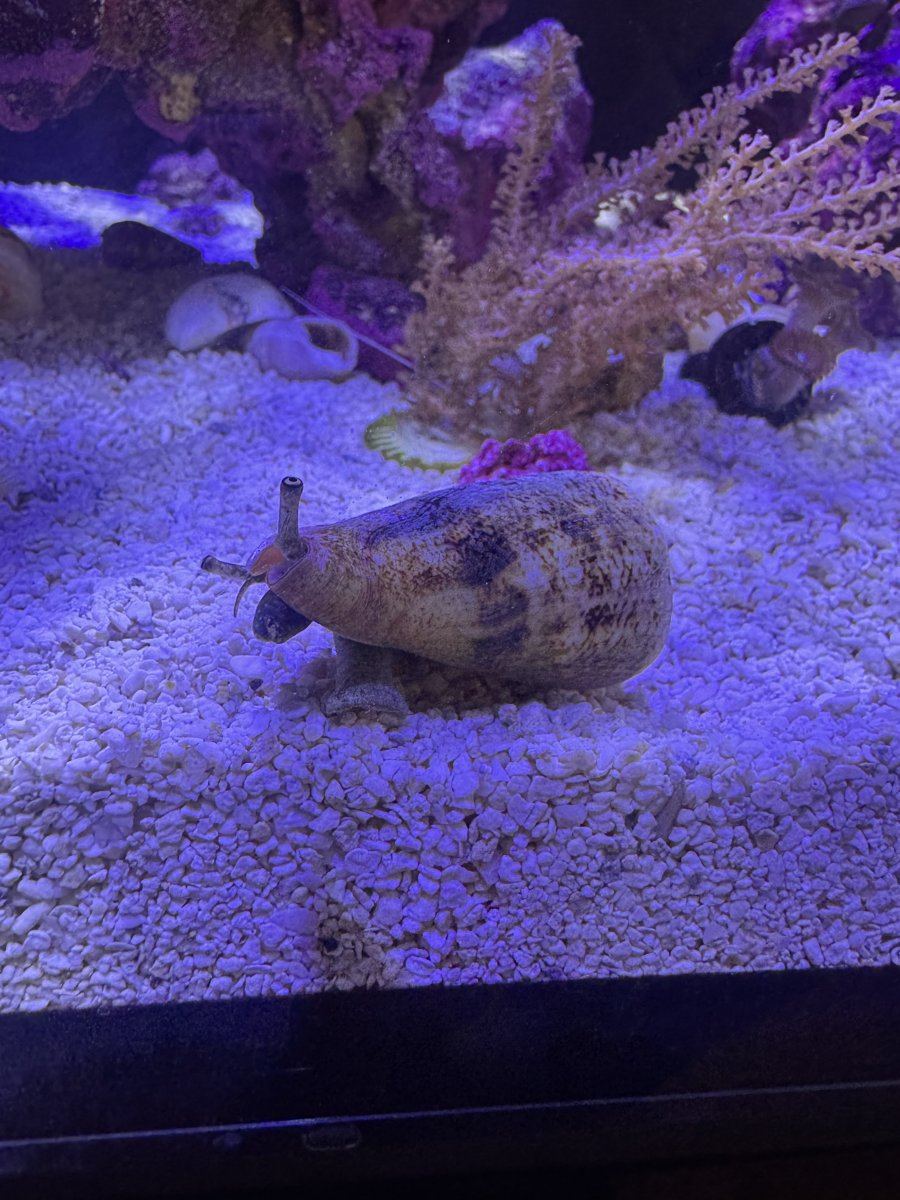 IMG_6771.jpeg