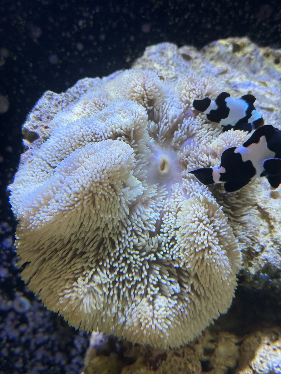IMG_6772.jpeg