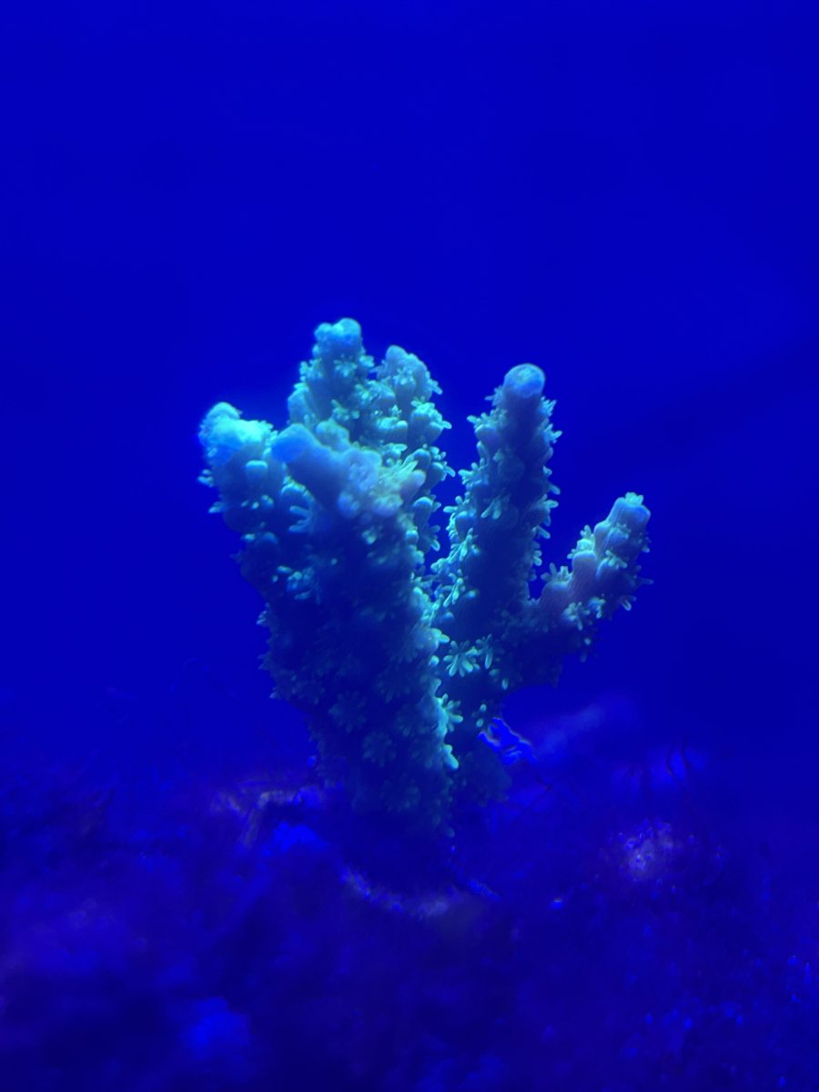IMG_6776.jpeg