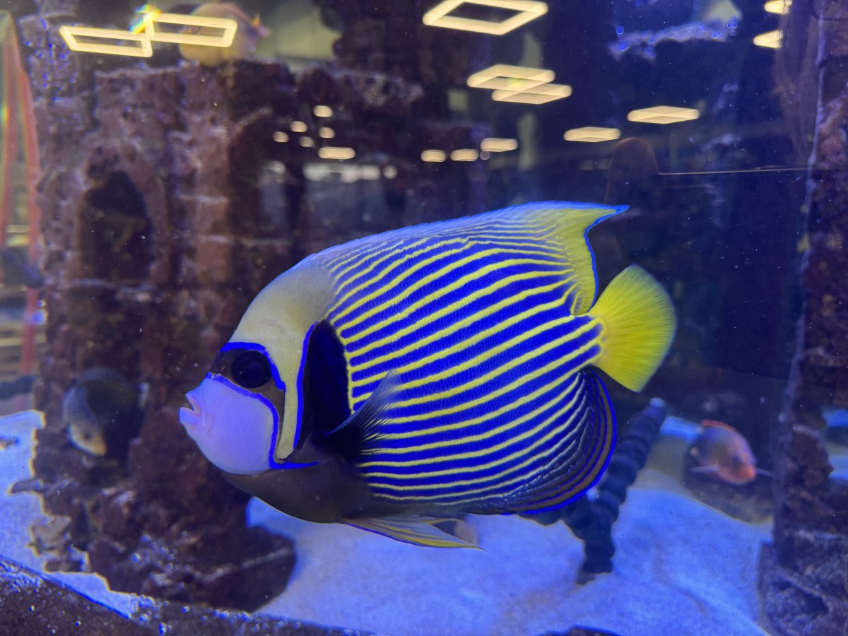 IMG_6809.jpeg