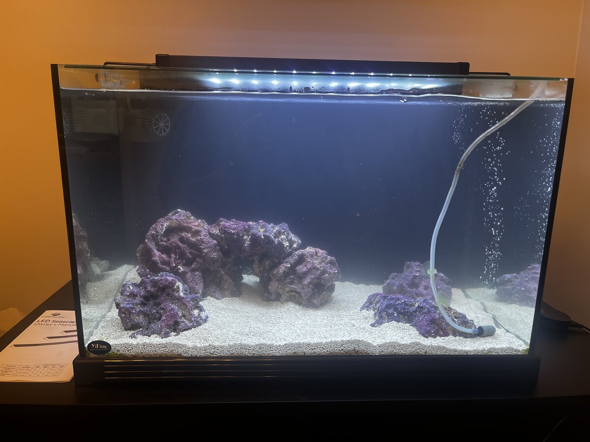 Build Thread - New to the hobby, new to the forum | Reef2Reef