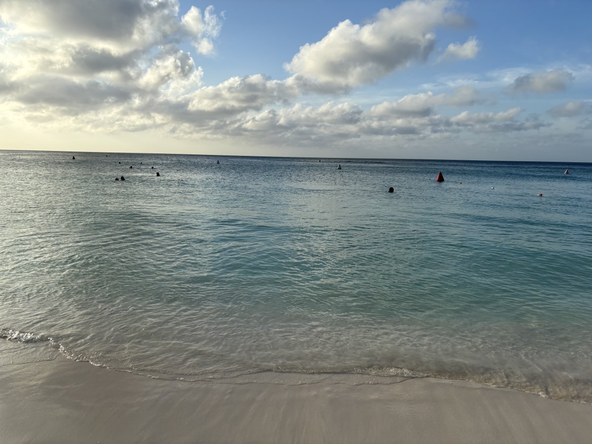 IMG_6812.jpeg