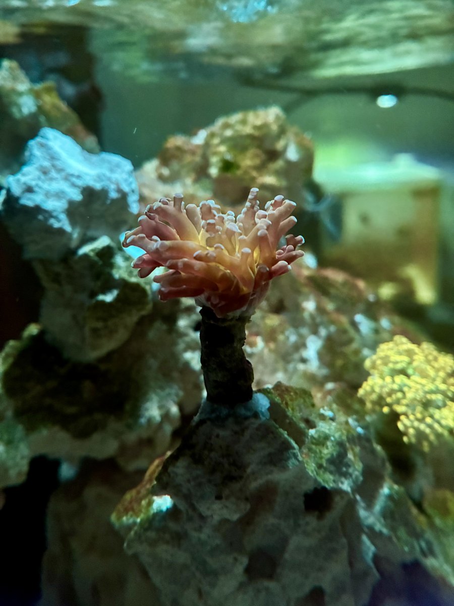 IMG_6814.jpeg