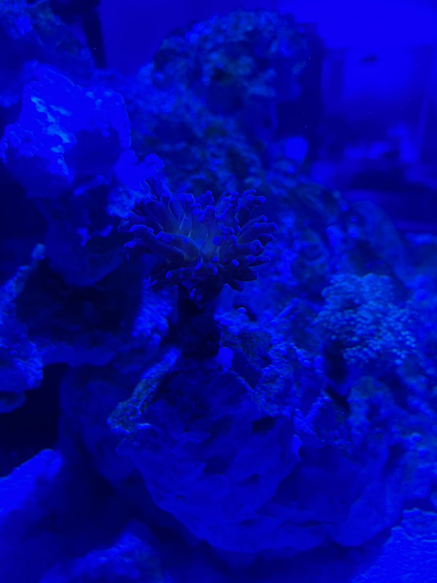 IMG_6818.jpeg
