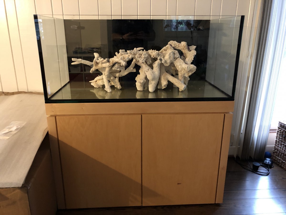 IMG_6829.jpeg