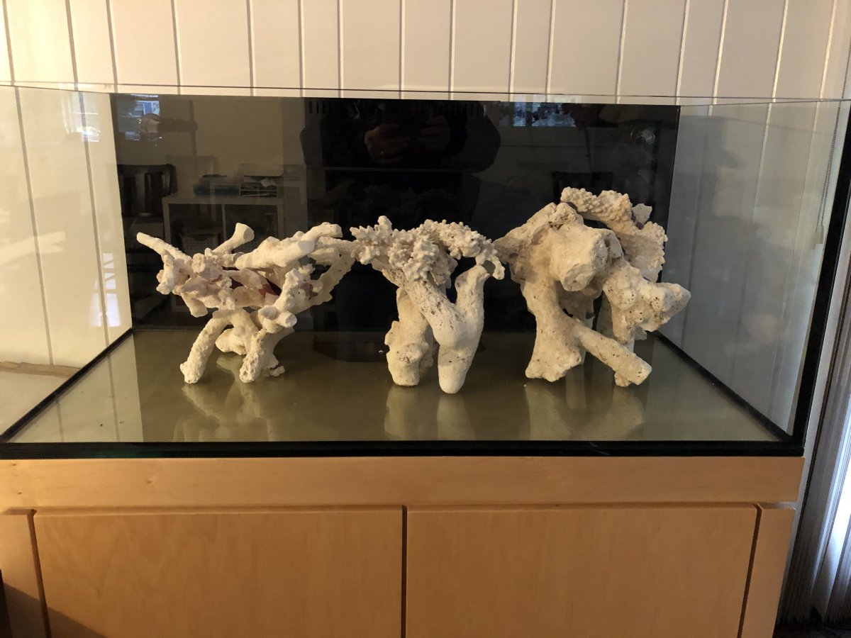 IMG_6832.jpeg