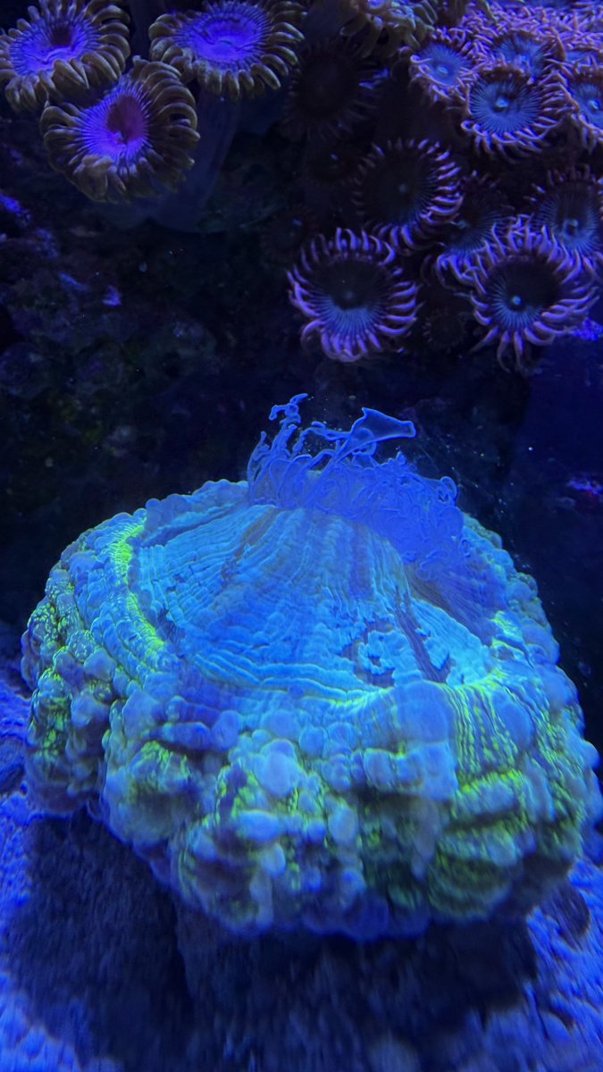 IMG_6835.jpeg