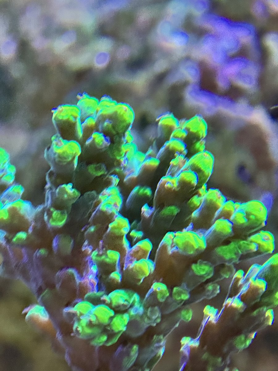 IMG_6836.jpeg