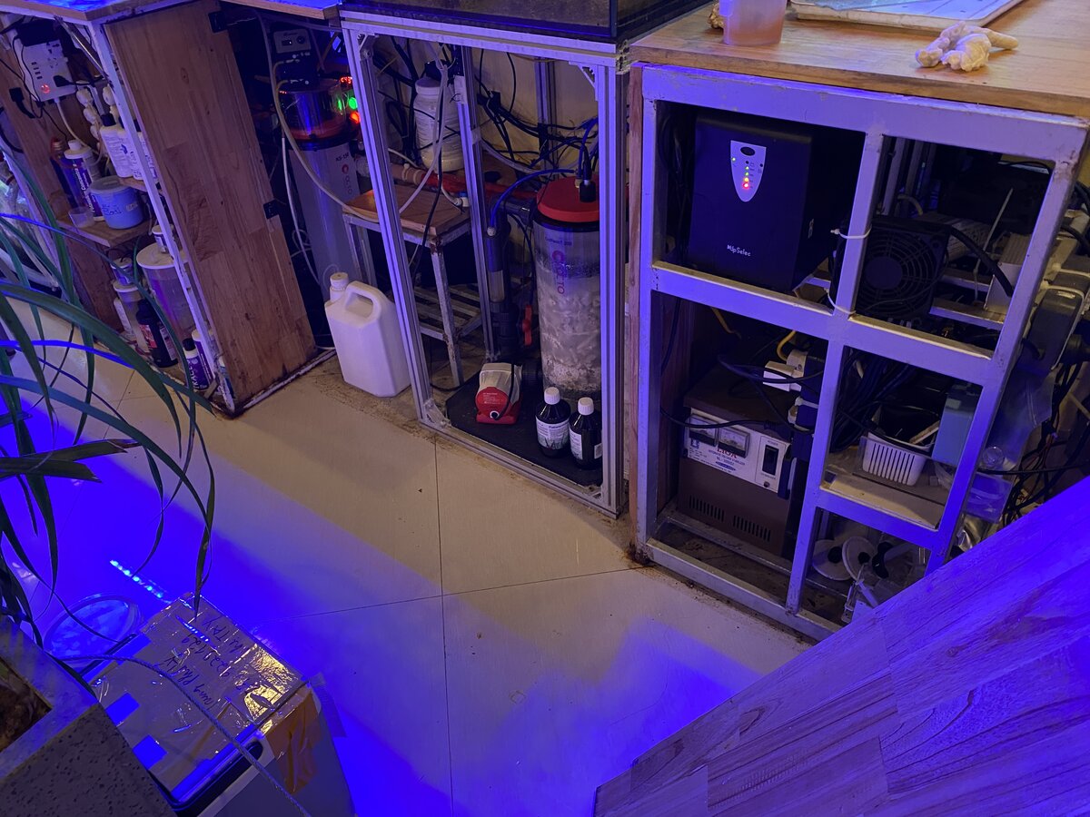 Build Thread - 550 liters systerm SPS and LPS separately | Page 5 ...