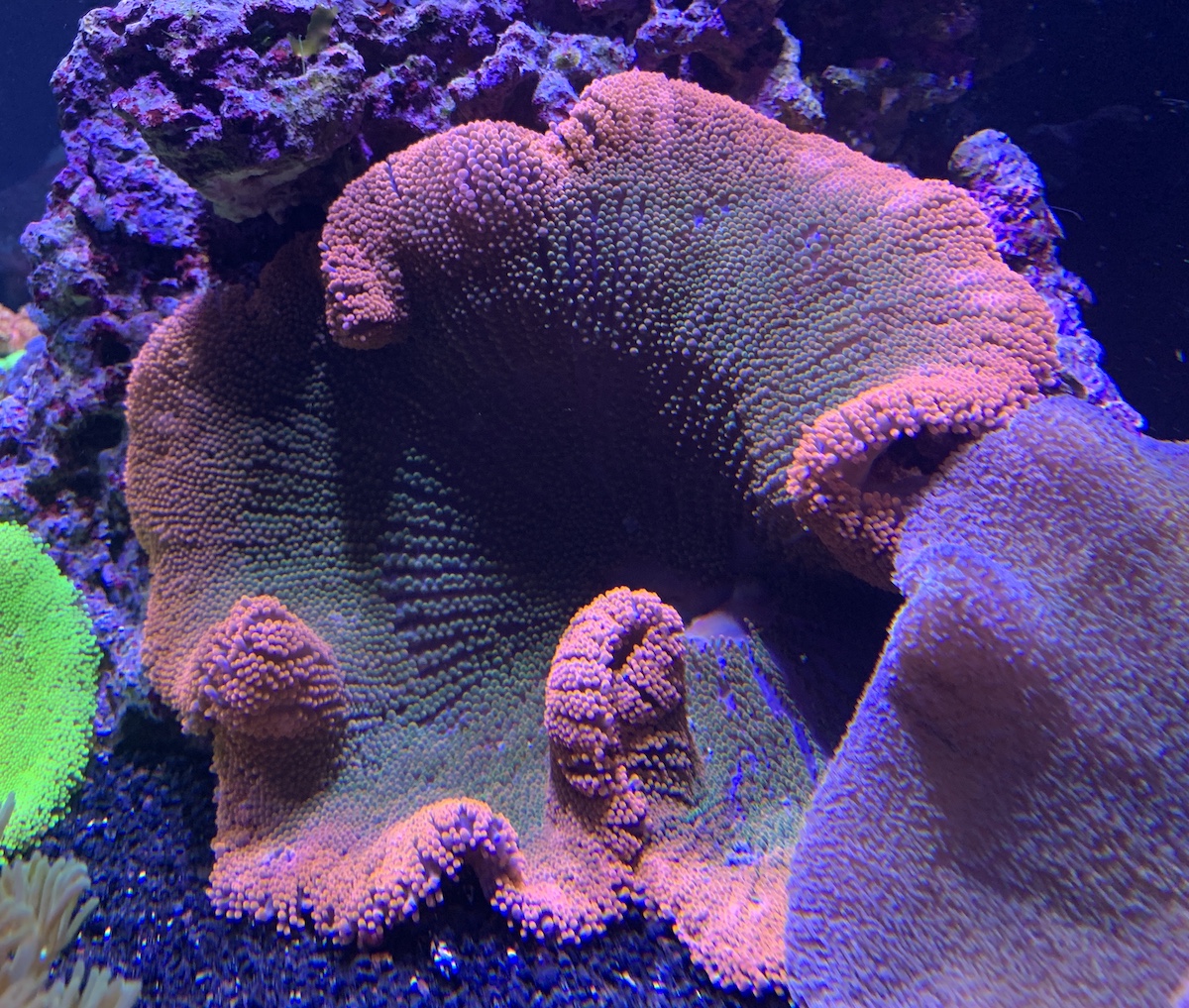 IMG_6850.JPG