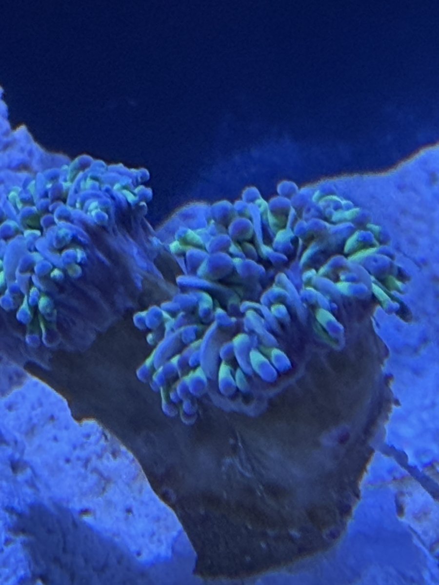 IMG_6851.jpeg