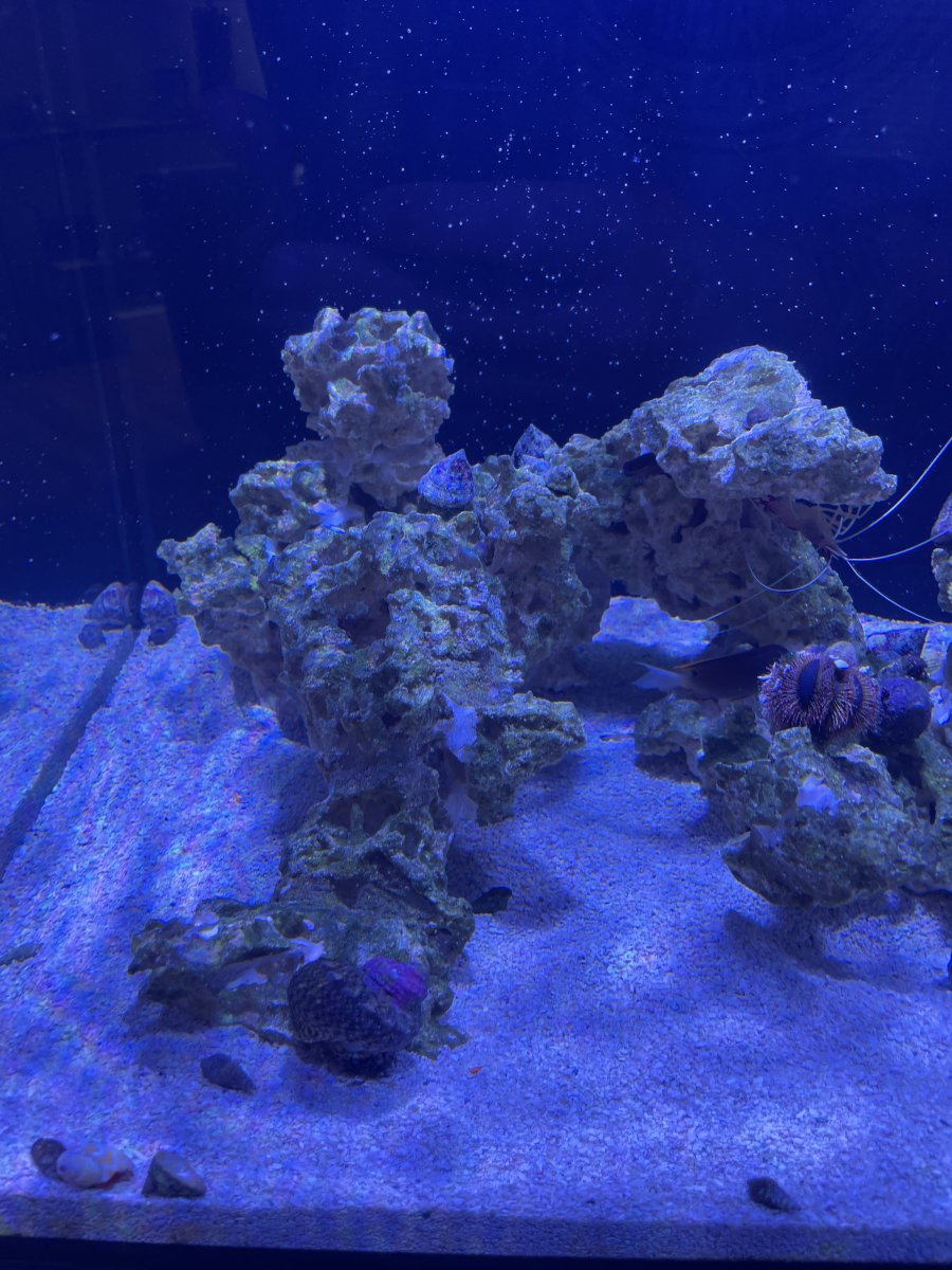 IMG_6885.jpeg