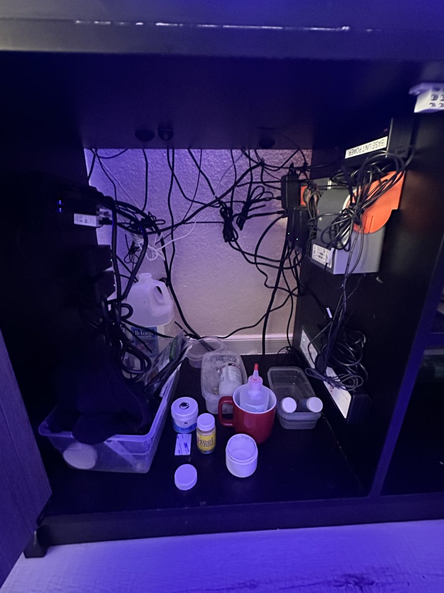 IMG_6885.jpeg